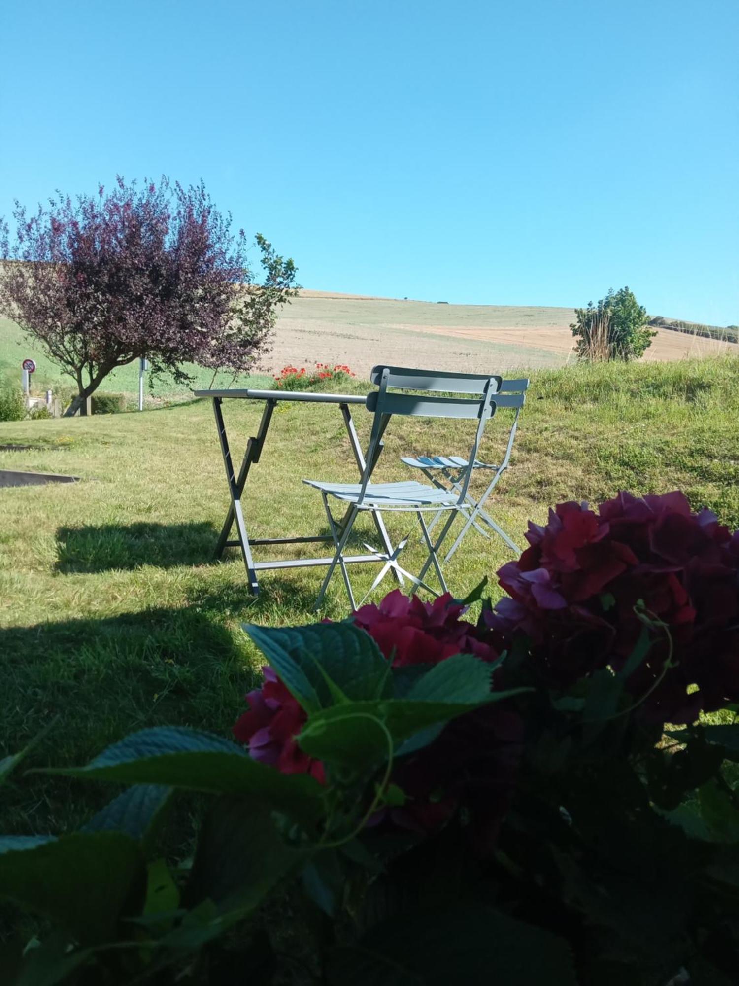 Les Balcons Du Cap Bed and Breakfast Escalles Buitenkant foto